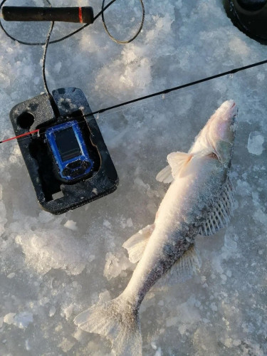 Эхолот Практик 8 в Севастополе