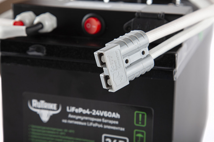 Тяговый железо-фосфатный аккумулятор RuTrike LiFePO4 60V48Ah (60А) в Севастополе