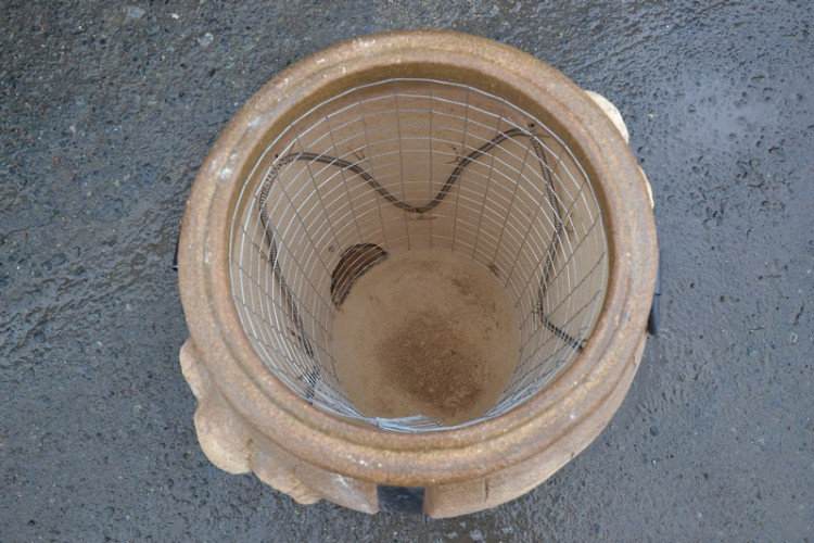 Тандыр Электрический Баран в Севастополе