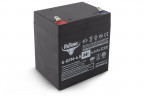 Тяговый гелевый аккумулятор RuTrike 6-GFM-4.5 (12V4.5A/H C20) в Севастополе
