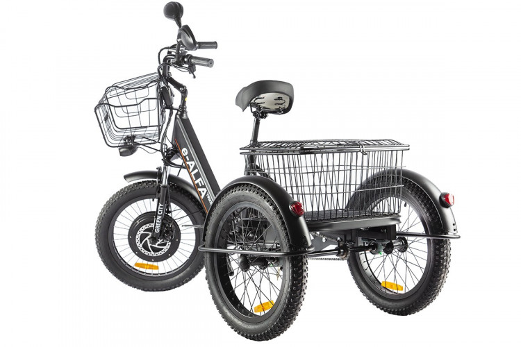 Электрофэтбайк Eltreco Green City e-ALFA Trike в Севастополе
