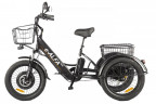 Электрофэтбайк Eltreco Green City e-ALFA Trike в Севастополе