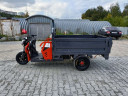 Грузовой электрический трицикл Pаntеrа Гидрaвлика 75V1500W в Севастополе