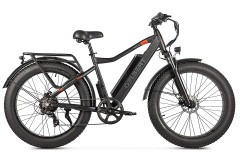 Электровелосипед Gelbert Pegas 1 PRO Электровелосипед Gelbert Pegas 1 PRO