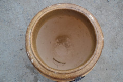 Тандыр Лось